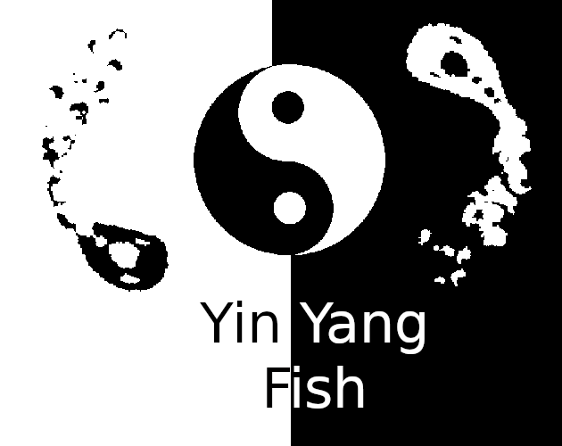 Ying Yang Fish